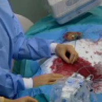 共同企画ライブ