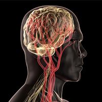 脳外・循内合同セッション